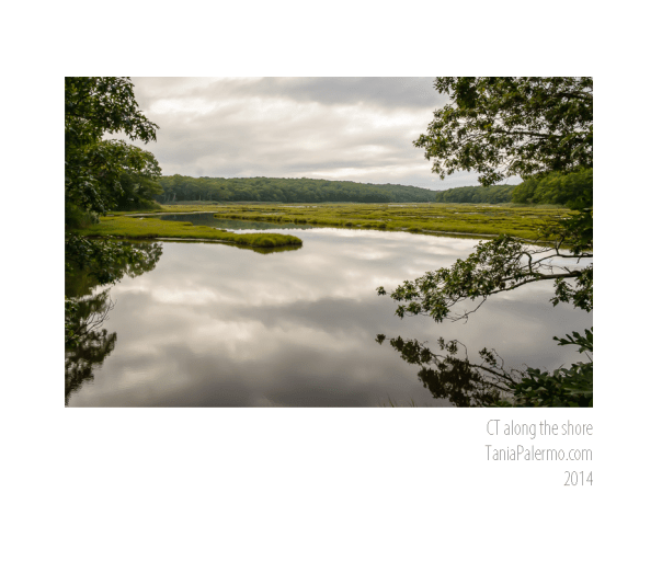 CtShoreLine©TaniaPalermo2014-2021