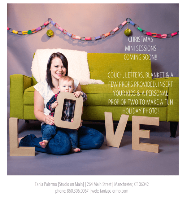 ChristmasMiniLevi©TaniaPalermo2014