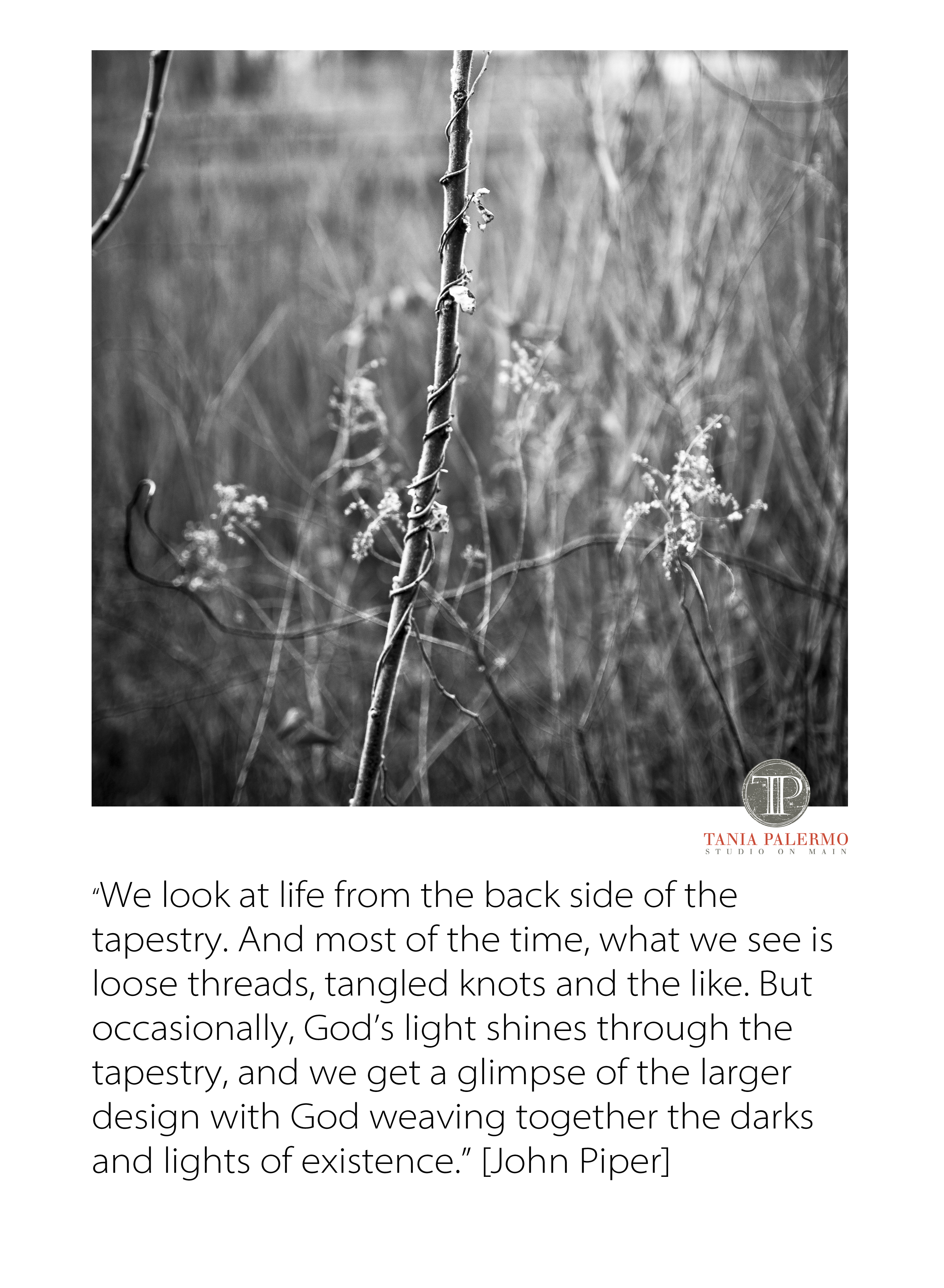 bwnaturetapestrytaniapalermo2016