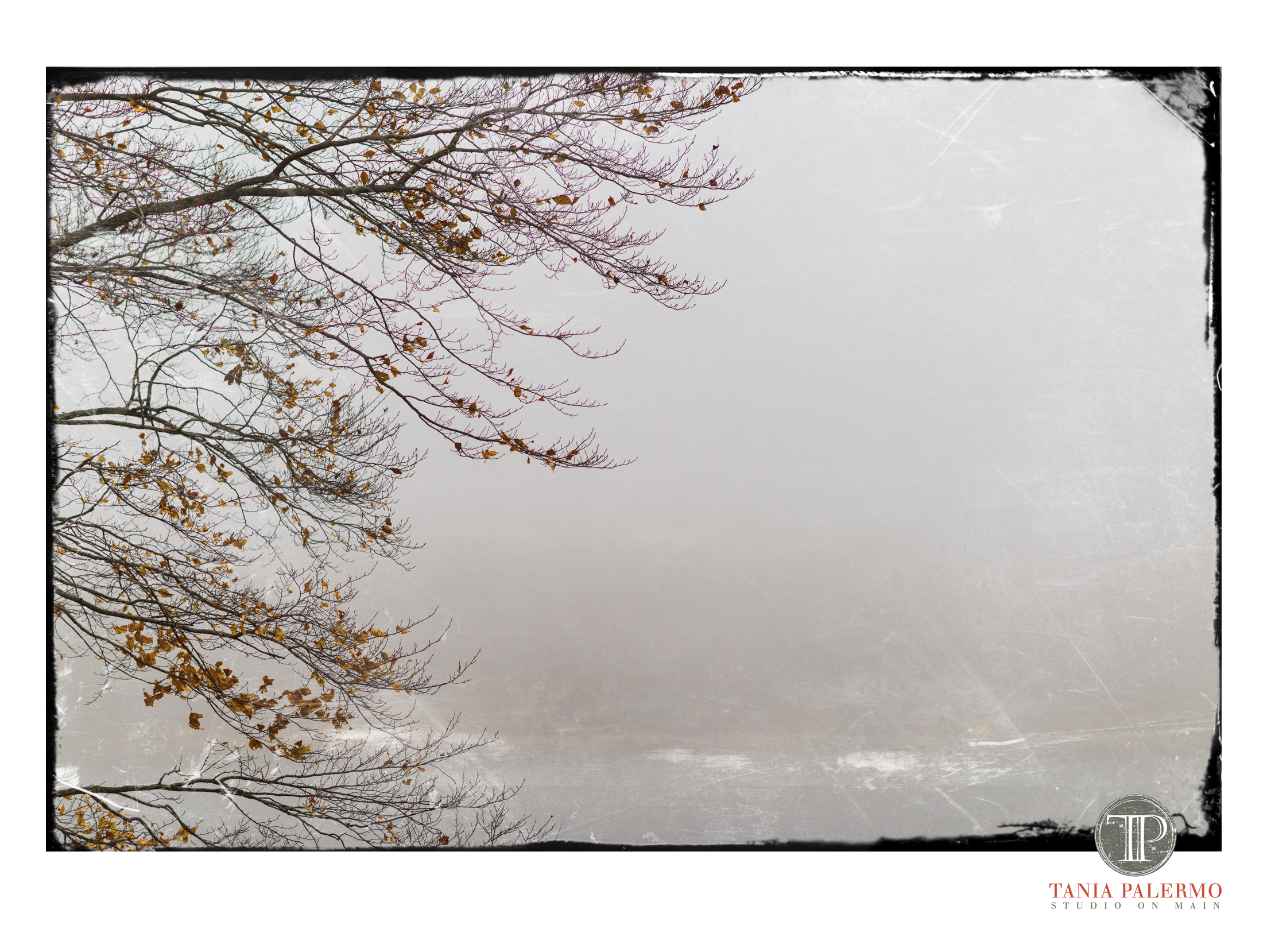 ByTheSeaFB©TaniaPalermo2017