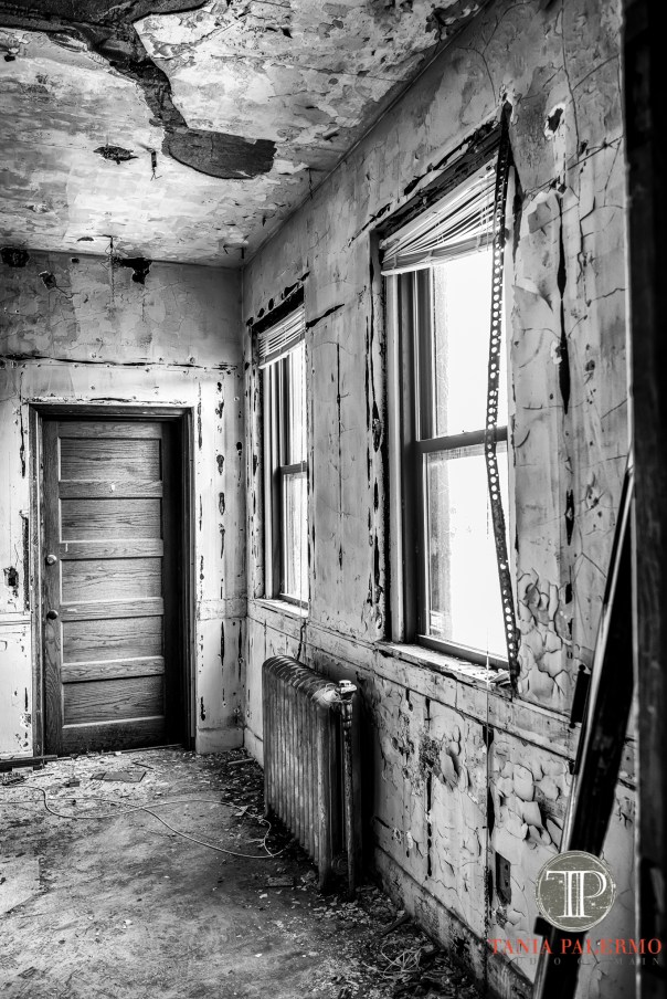 No 02 of 52_Web_©TaniaPalermo2017