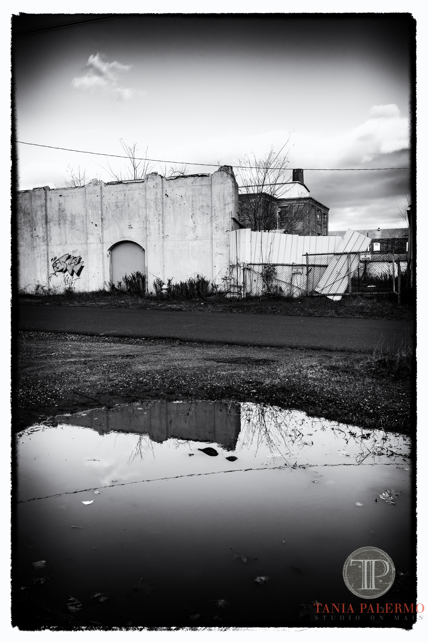 No 07 of 52_Web_Logo_©TaniaPalermo2017