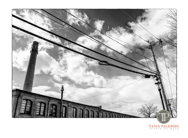 No 12 of 52_Web_Logo©TaniaPalermo2018