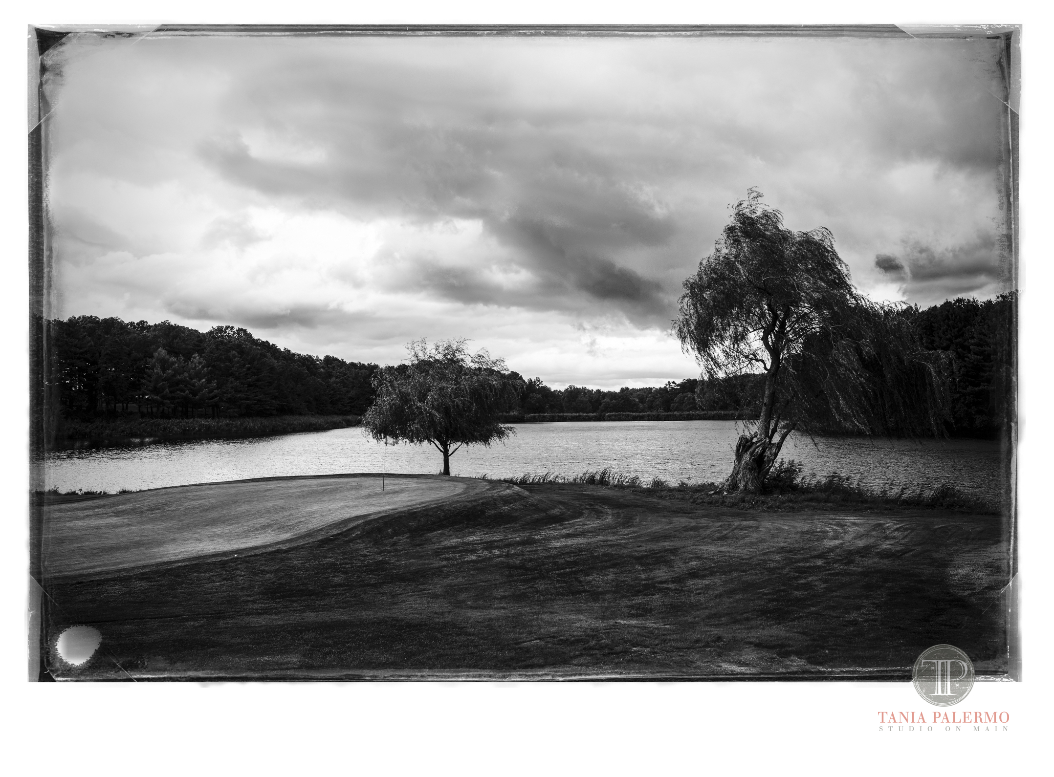 No 15 of 52_Web_logo©TaniaPalermo2018