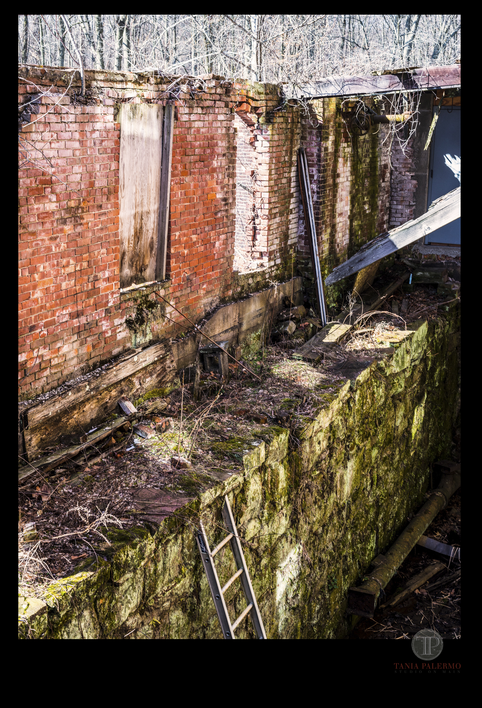 WALK A MILE 03-16-18_No2 logo©TANIAPALERMO2018