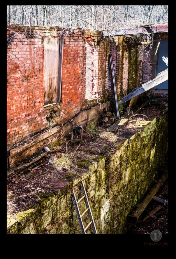 WALK A MILE 03-16-18_No2 logo©TANIAPALERMO2018