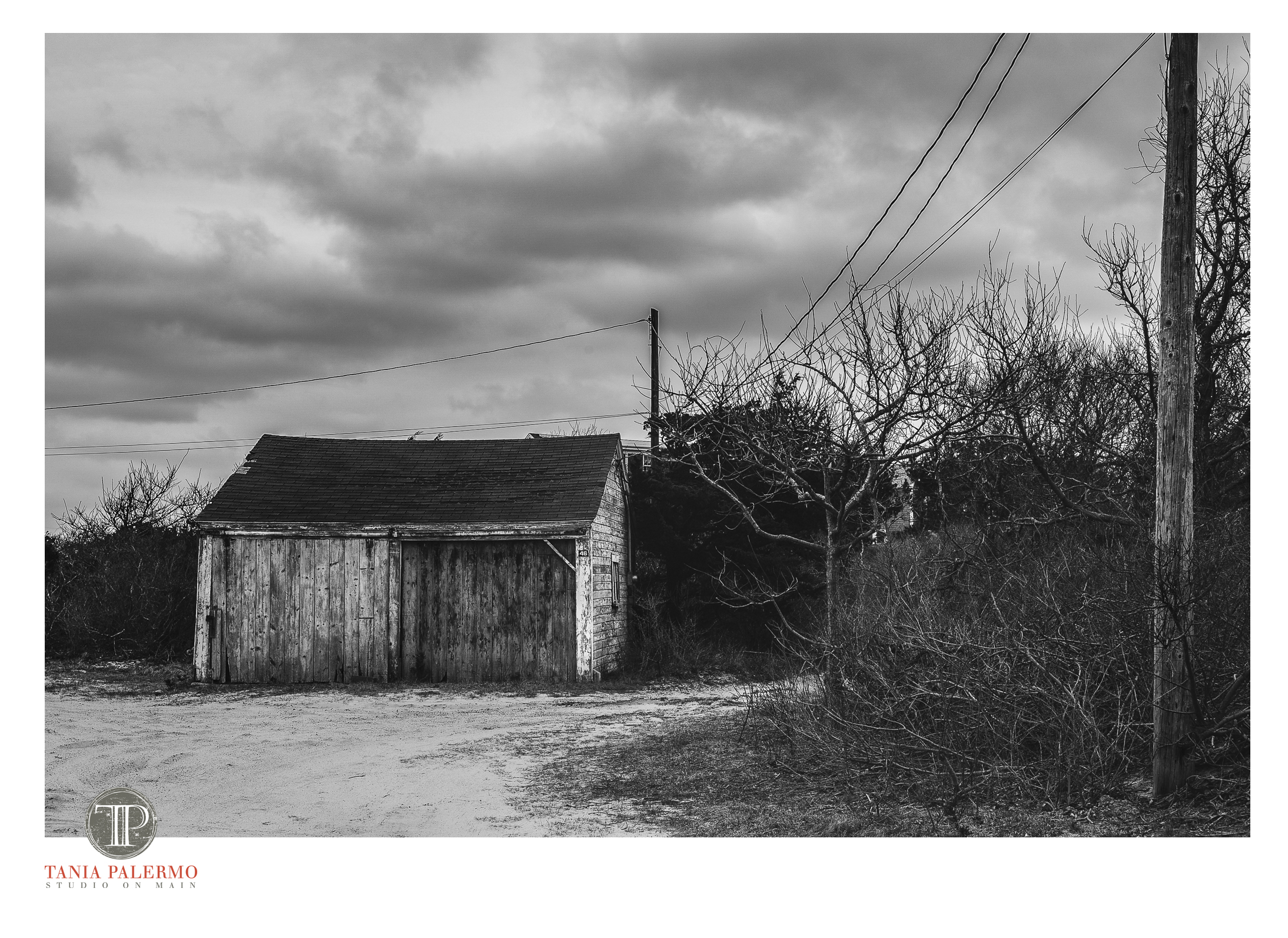 No 18 of 52_Web_LOGO©TaniaPalermo2018