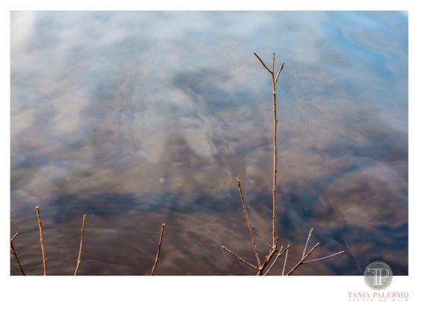 HP01©TANIAPALERMO2020