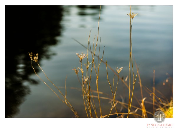 HP04©TANIAPALERMO2020